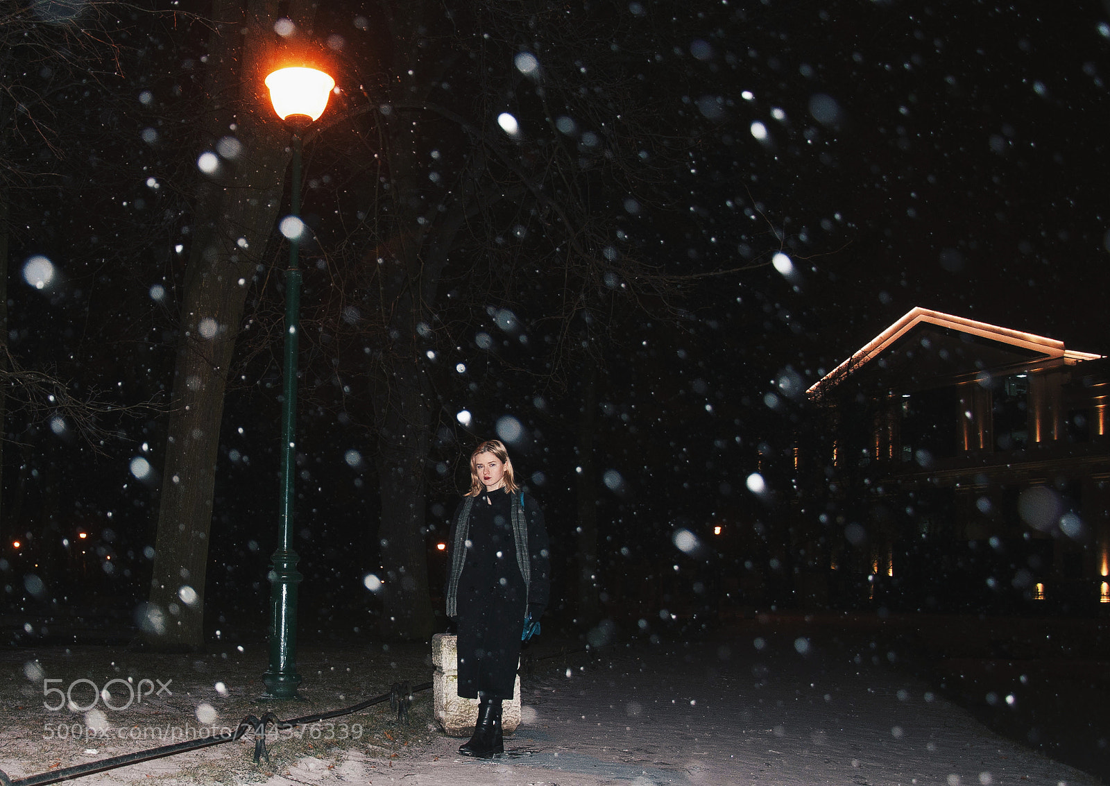 Nikon D90 sample photo. Winter fairytale photography
