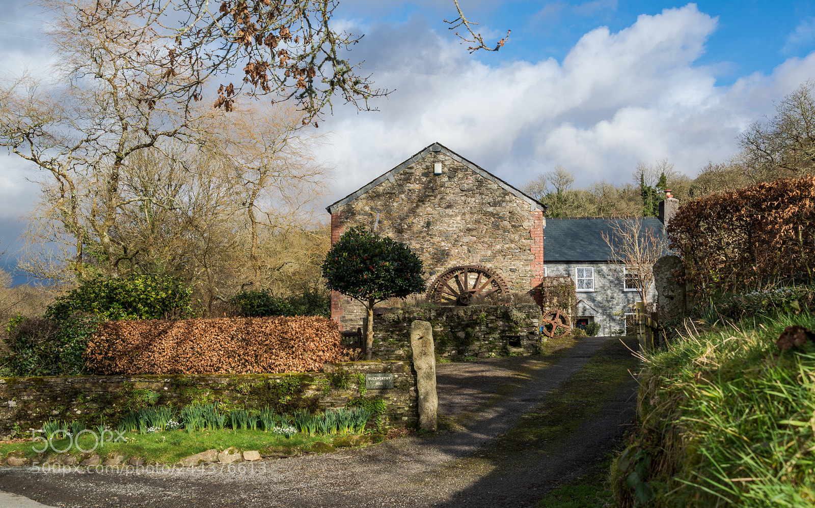Nikon D610 sample photo. Promise of spring at photography