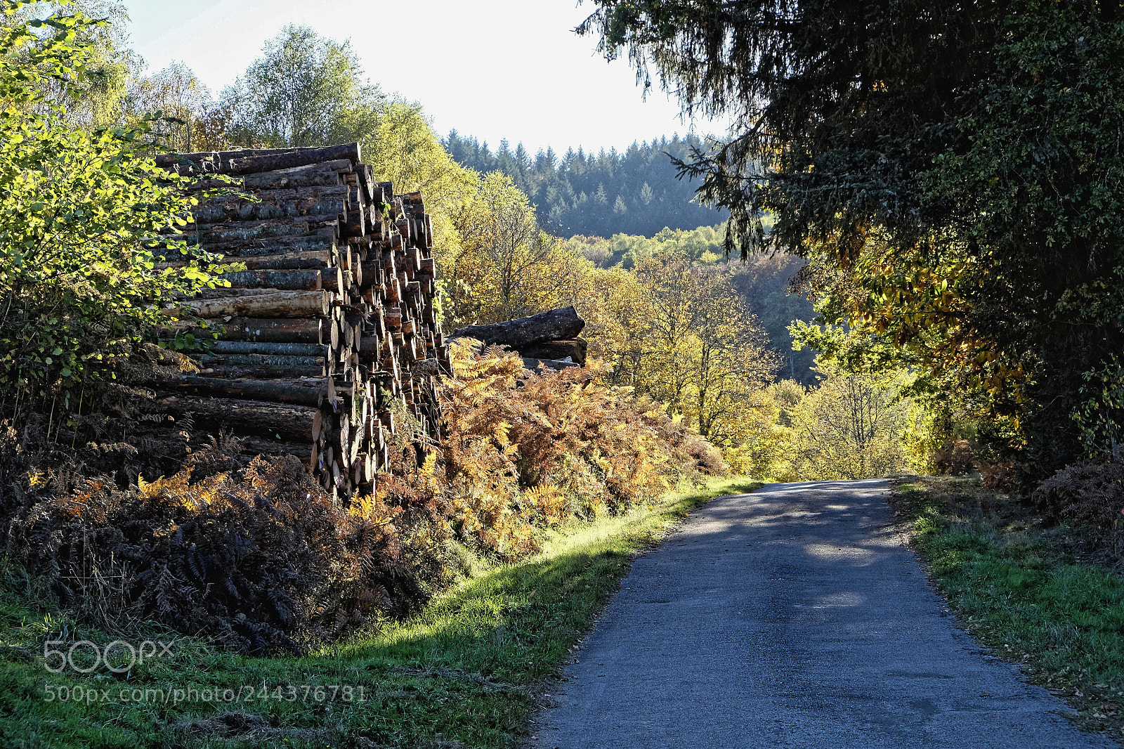 Fujifilm X-E2 sample photo. Monts d'ambazac photography