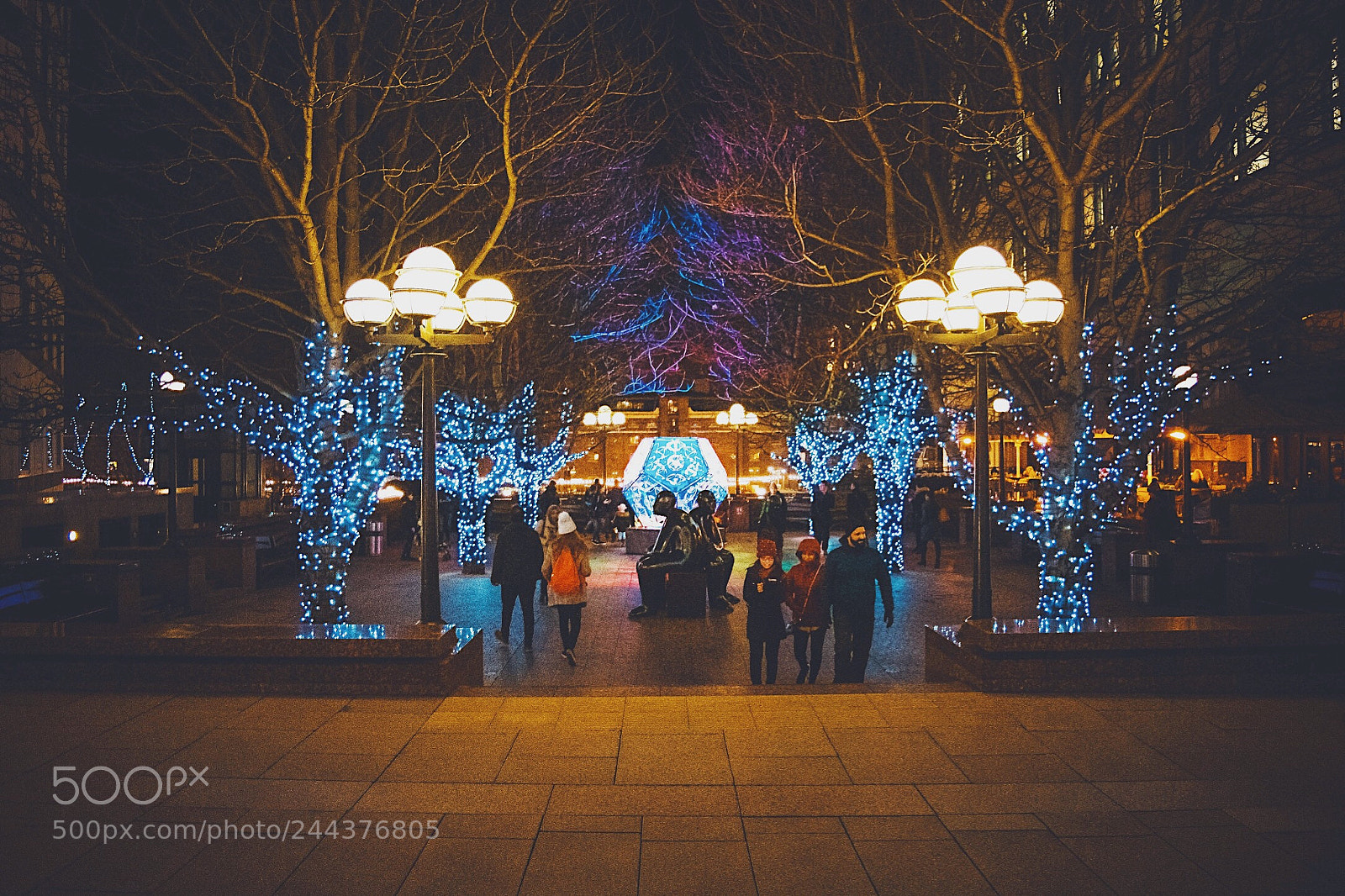 Nikon D7200 sample photo. Winter lights photography
