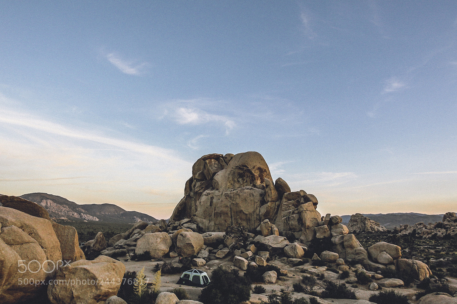 Canon EOS-1D Mark IV sample photo. Joshua tree photography