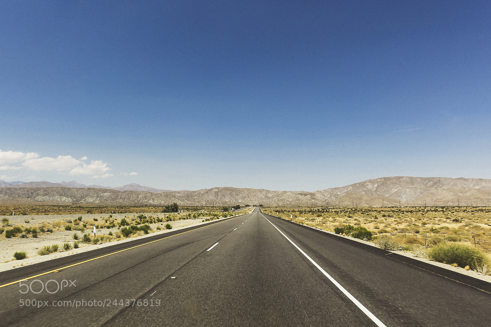 Canon EOS-1D Mark IV sample photo. Joshua tree photography
