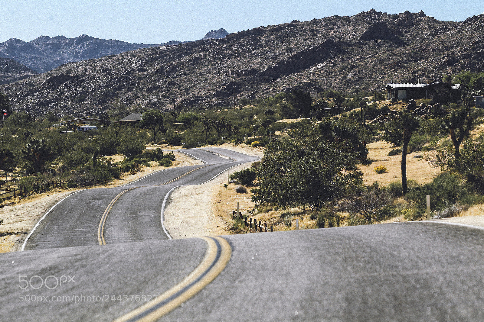 Canon EOS-1D Mark IV sample photo. Joshua tree photography