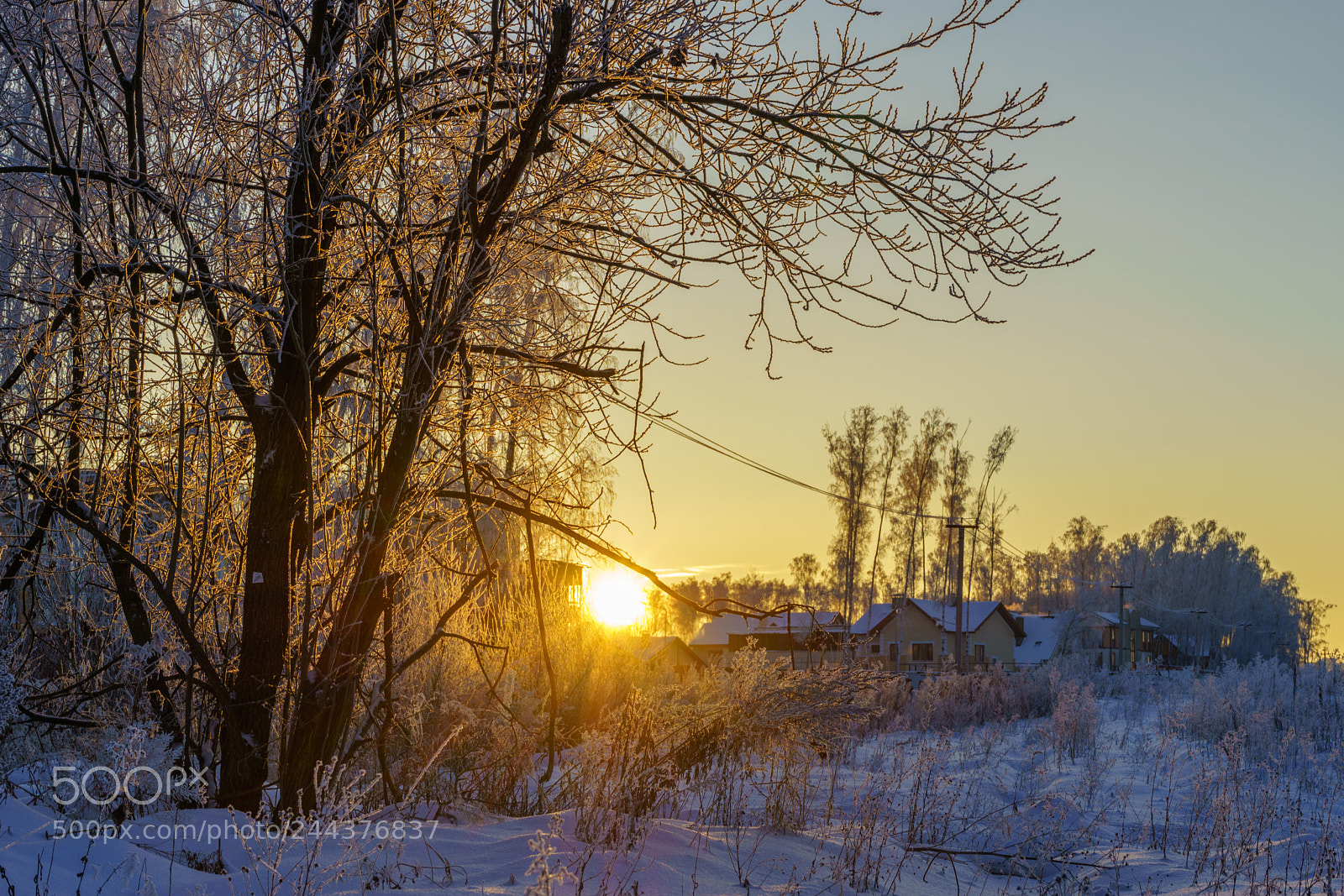 Sony a7R sample photo. Winter glow photography