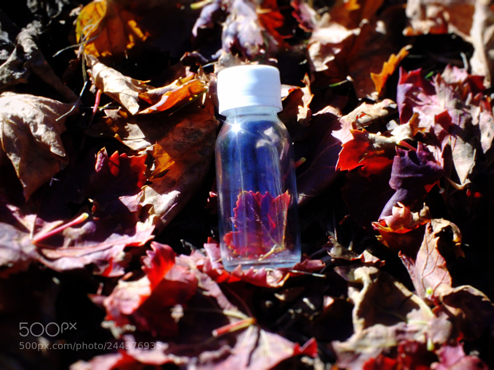FujiFilm FinePix HS20 EXR (FinePix HS22 EXR) sample photo. Autumn photography