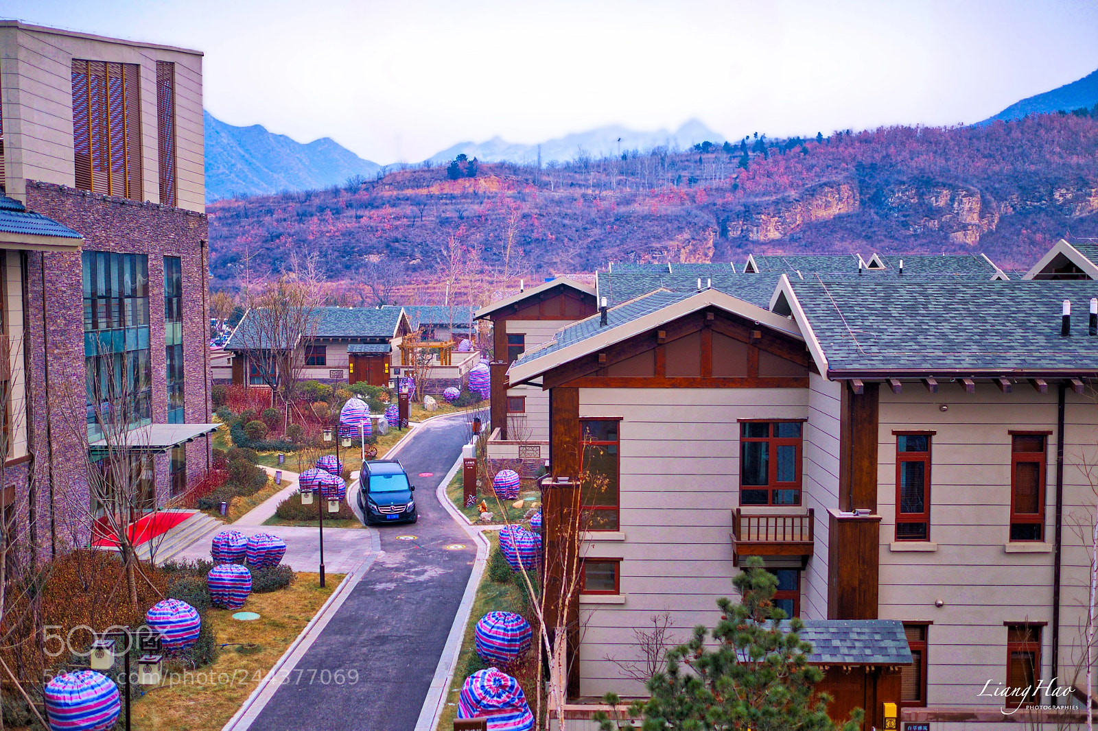 Fujifilm X-E1 sample photo. Winter like spring photography