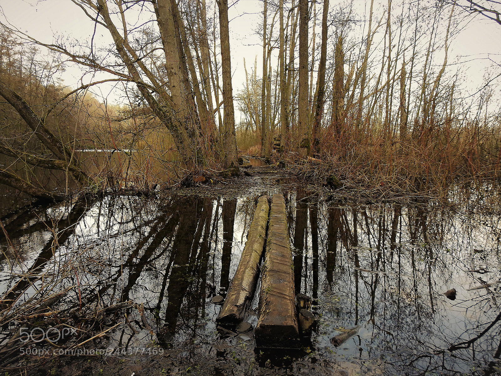 Nikon Coolpix P900 sample photo. Slippery when wet photography