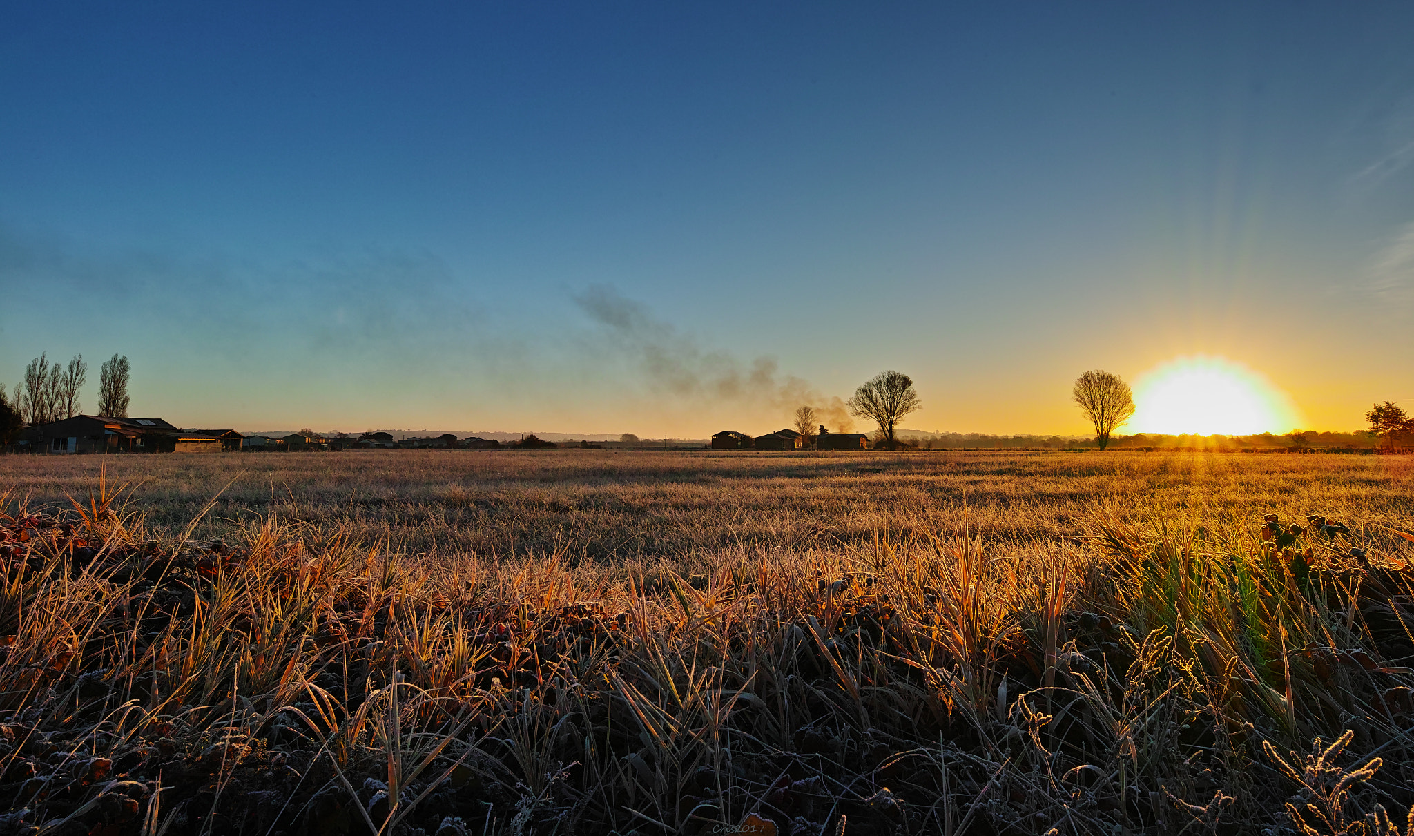 Sigma sd Quattro sample photo. Frozen morning photography