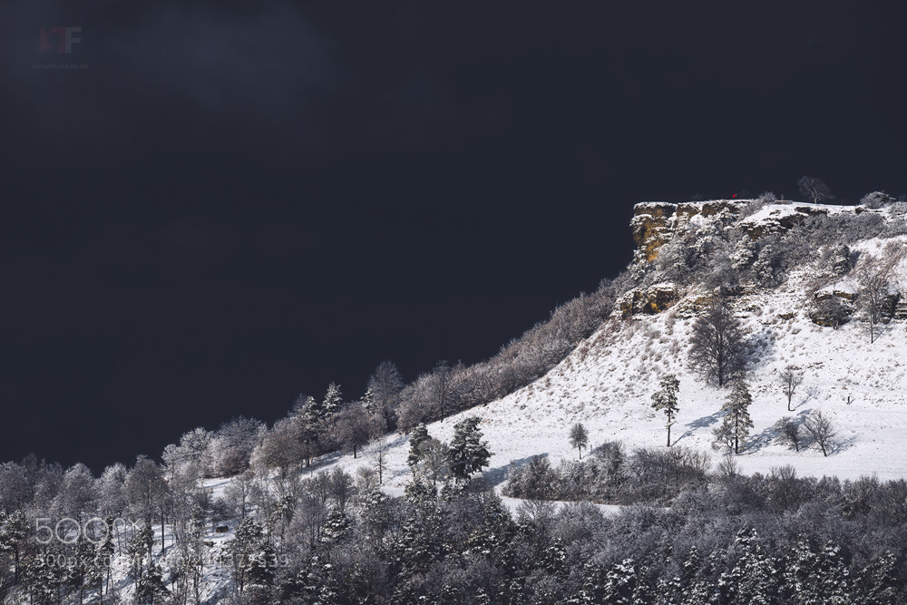 Nikon D850 sample photo. Staffelberg detail photography