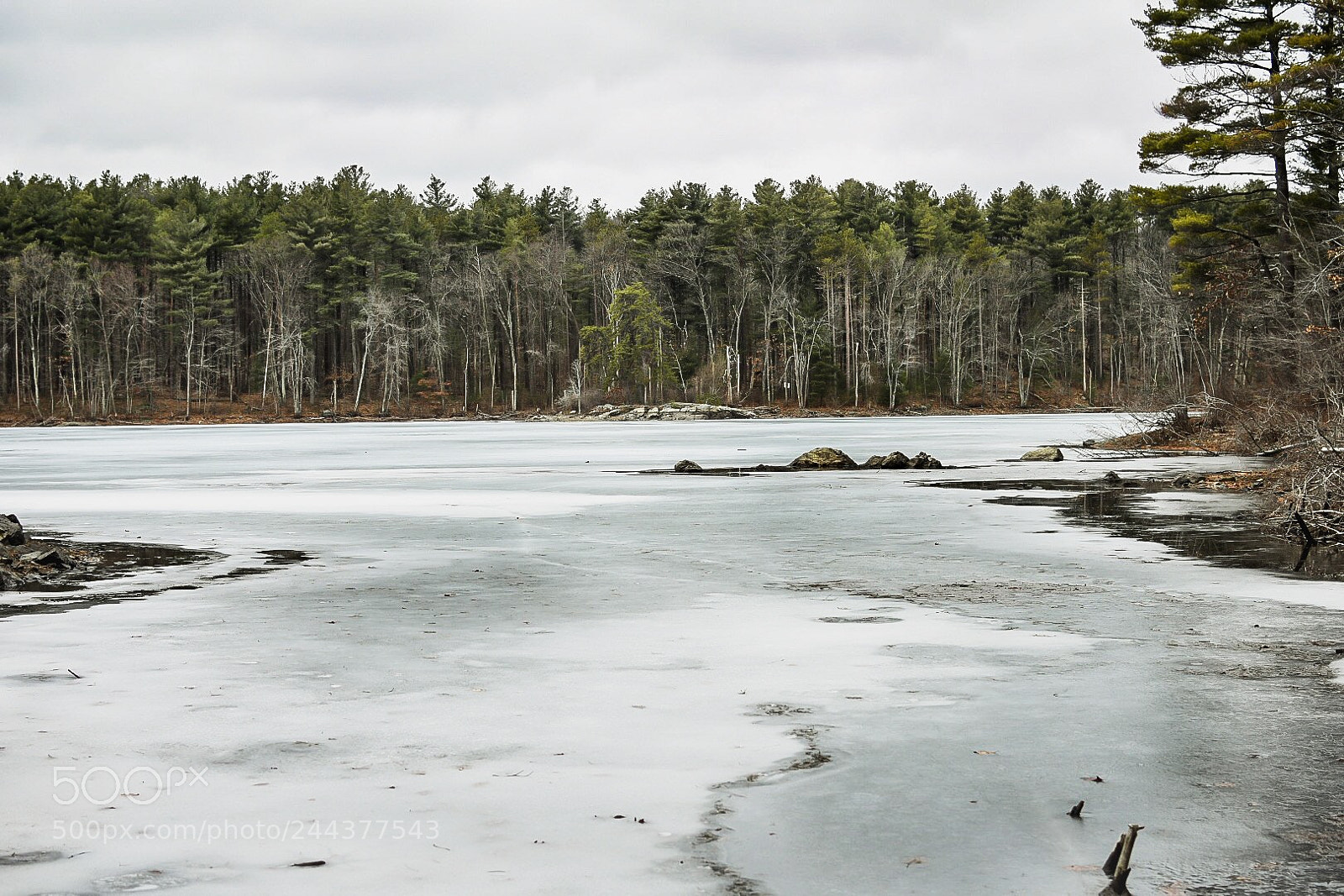Nikon D7200 sample photo. Yesterday photography
