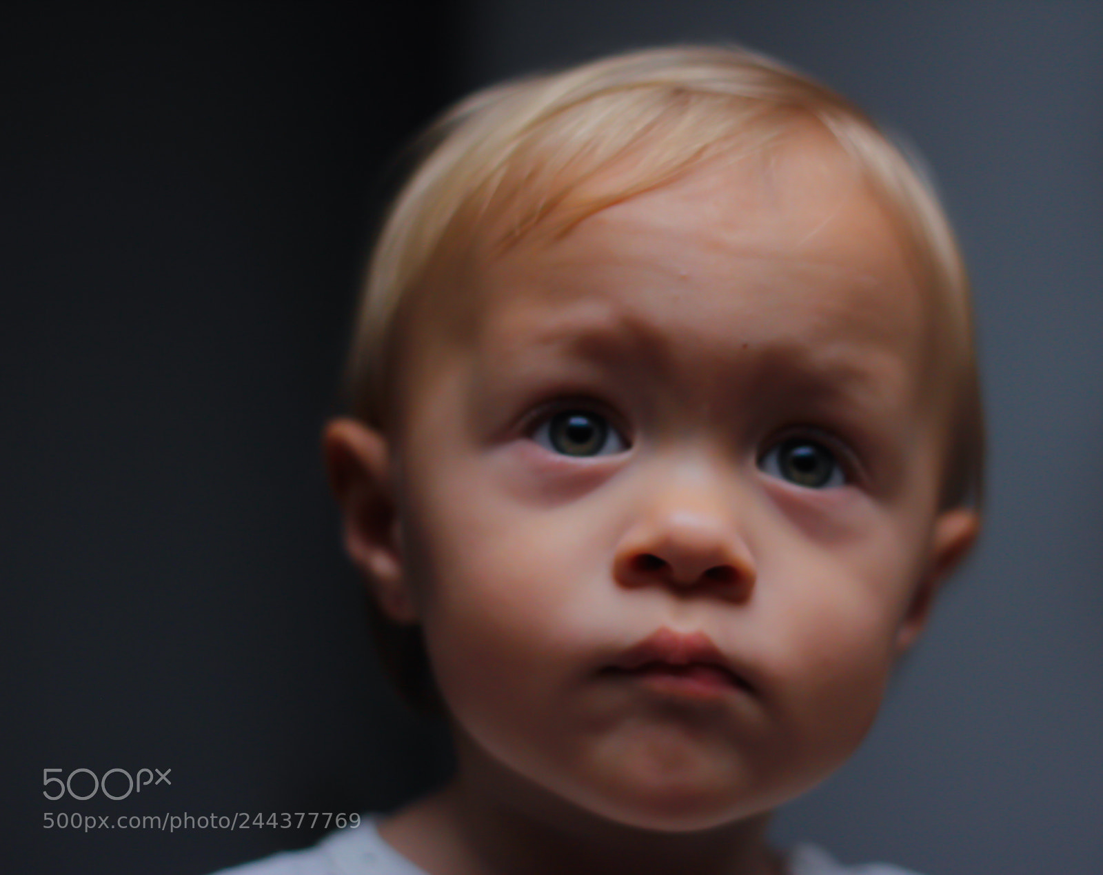 Canon EOS 60D sample photo. Mg photography