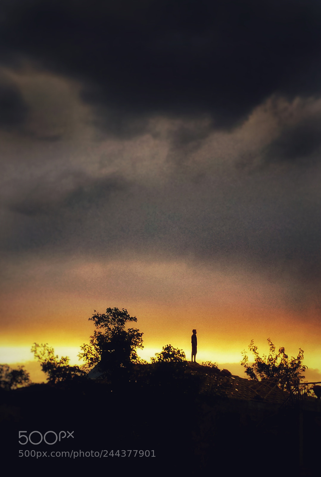 Samsung Galaxy S4 sample photo. Man who wait photography