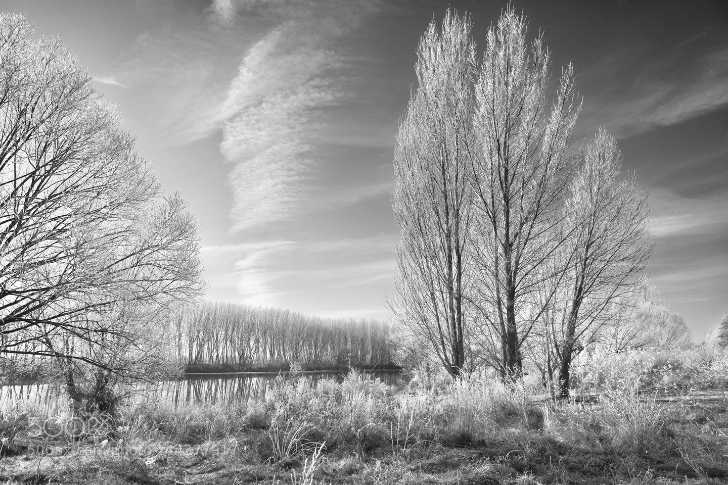 Canon EOS 5D sample photo. A nice day photography