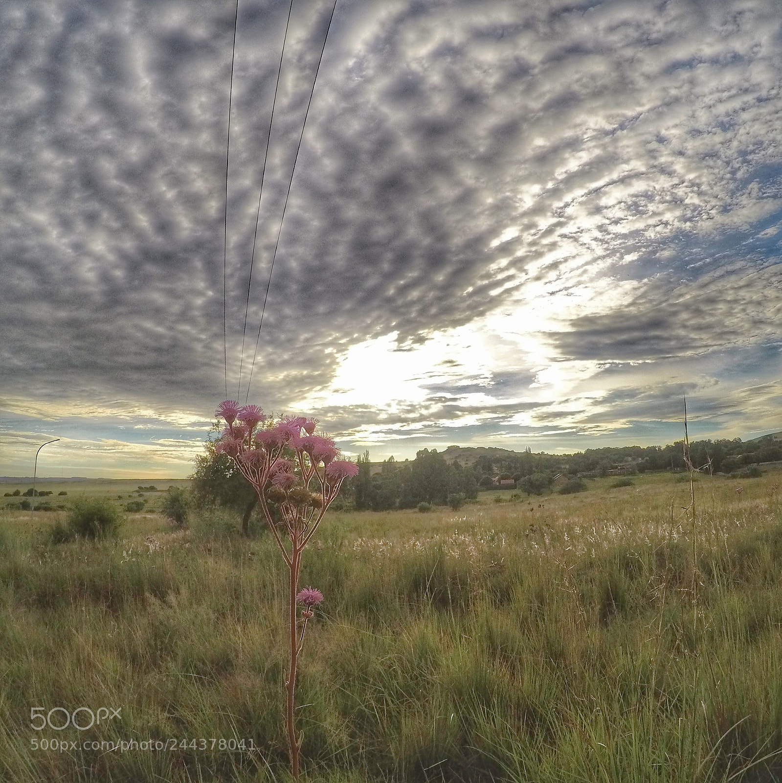 GoPro HERO4 Silver sample photo. Seekoei2 photography
