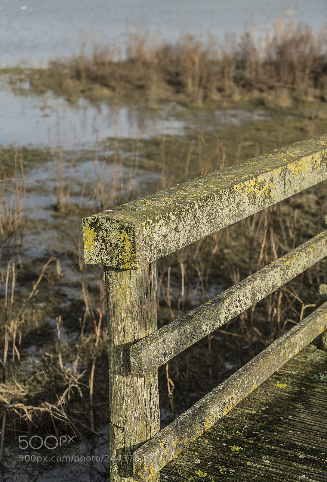 Sony a7R II sample photo. Fence photography