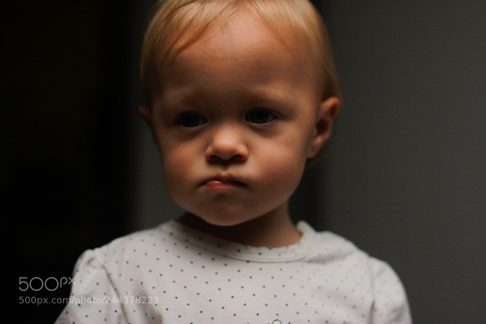 Canon EOS 60D sample photo. Mg photography