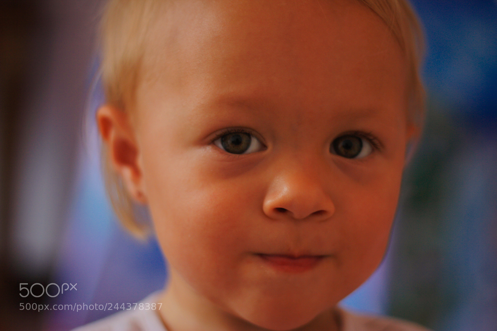 Canon EOS 60D sample photo. Mg photography