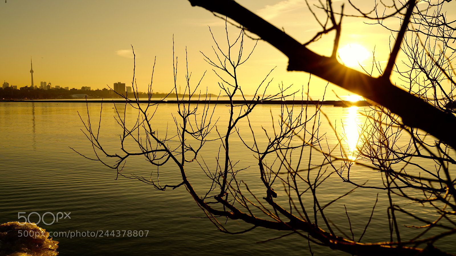 Sony a7R II sample photo. Untitled photography