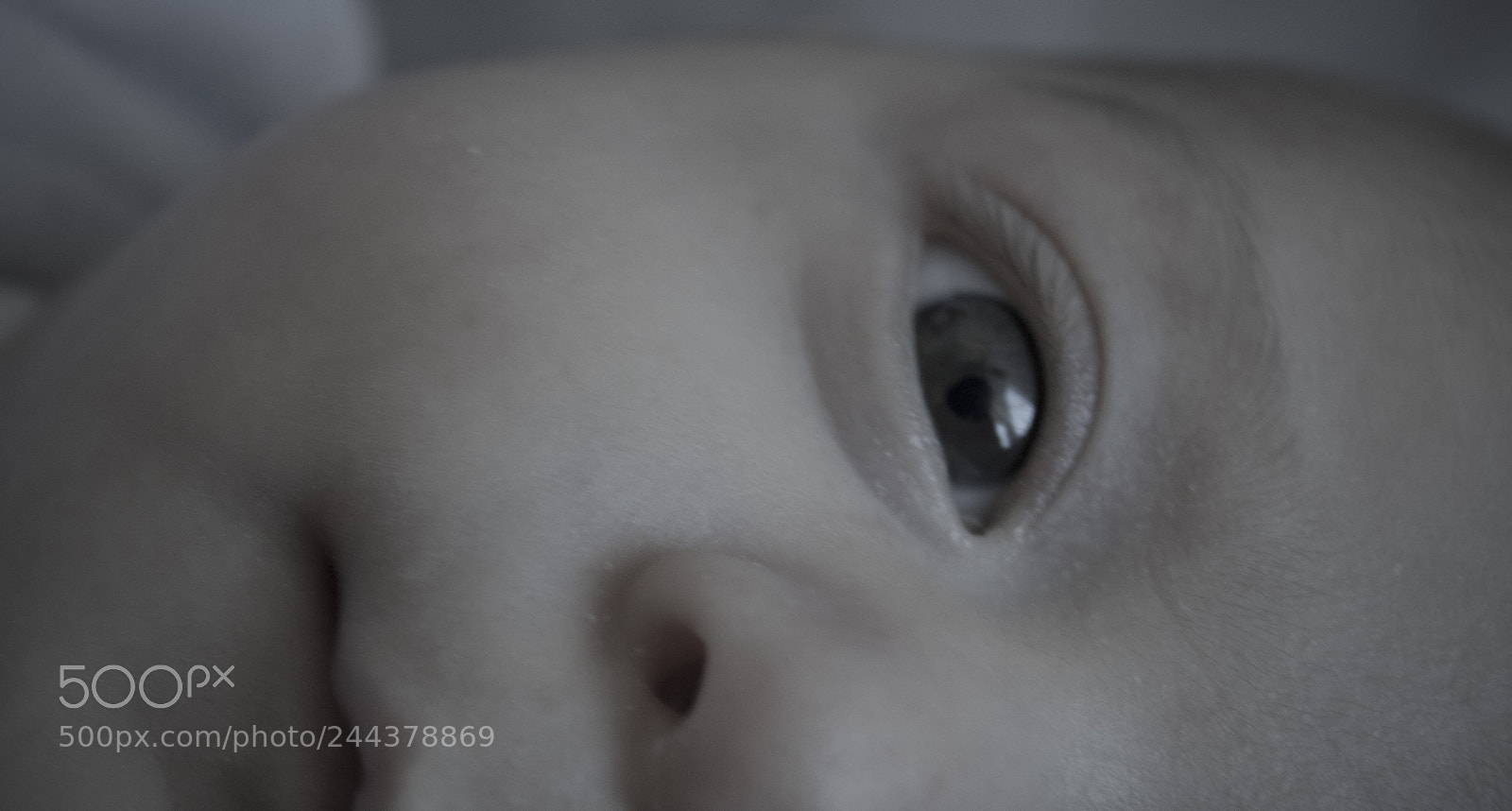 Canon EOS 750D (EOS Rebel T6i / EOS Kiss X8i) sample photo. Juli photography