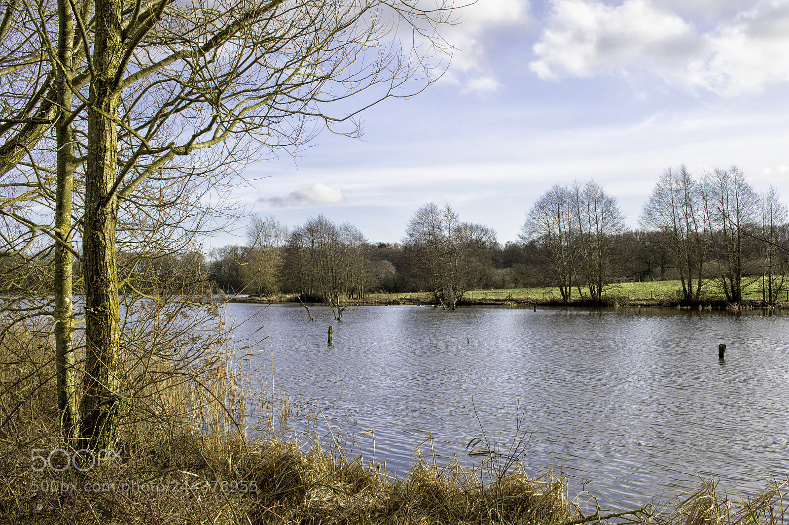Canon EOS 7D Mark II sample photo. Before spring around a photography