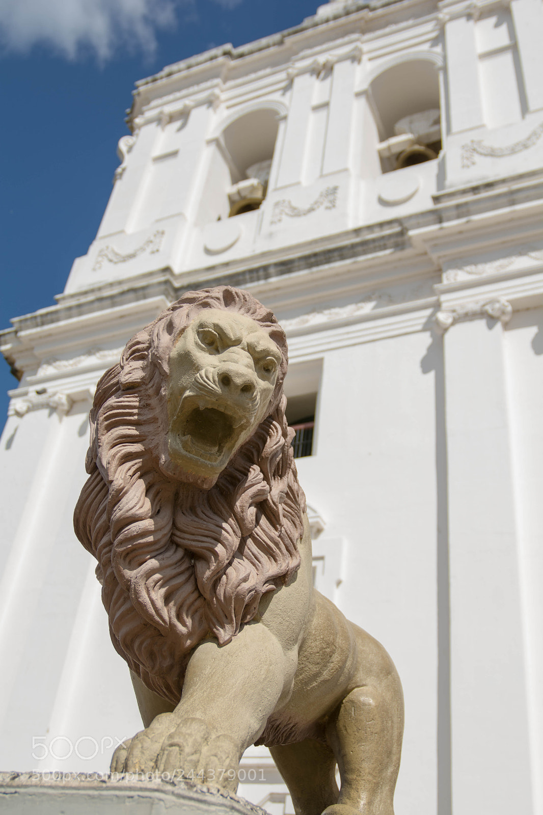 Nikon D7100 sample photo. The lions outside the photography