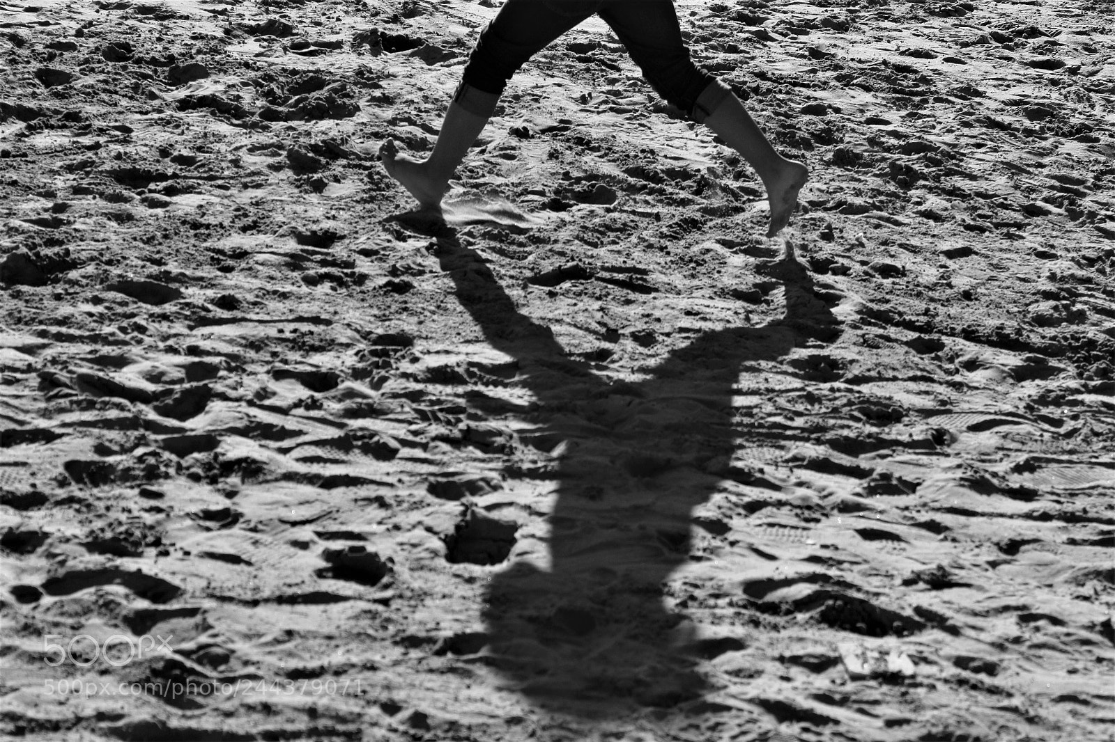 Canon EOS 1300D (EOS Rebel T6 / EOS Kiss X80) sample photo. Black are the silhouette photography