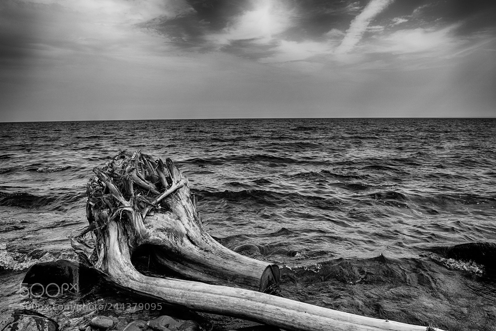 Nikon D7100 sample photo. Beached tree on lake photography