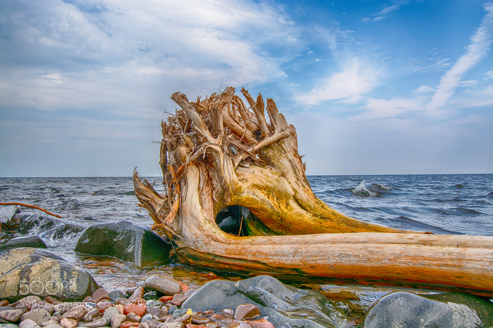 Nikon D7100 sample photo. Beached tree on lake photography