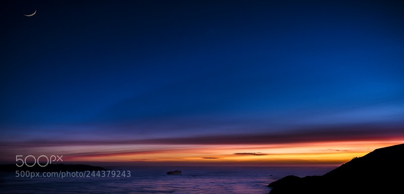 Nikon D810 sample photo. Sf bay photography
