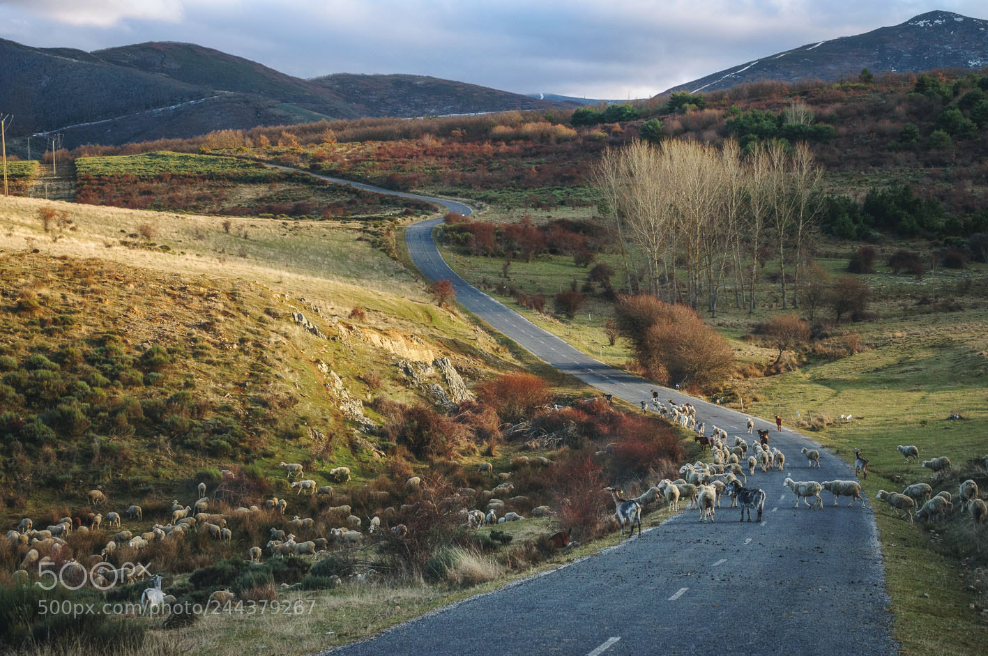 Nikon D300 sample photo. Country scene #12 photography