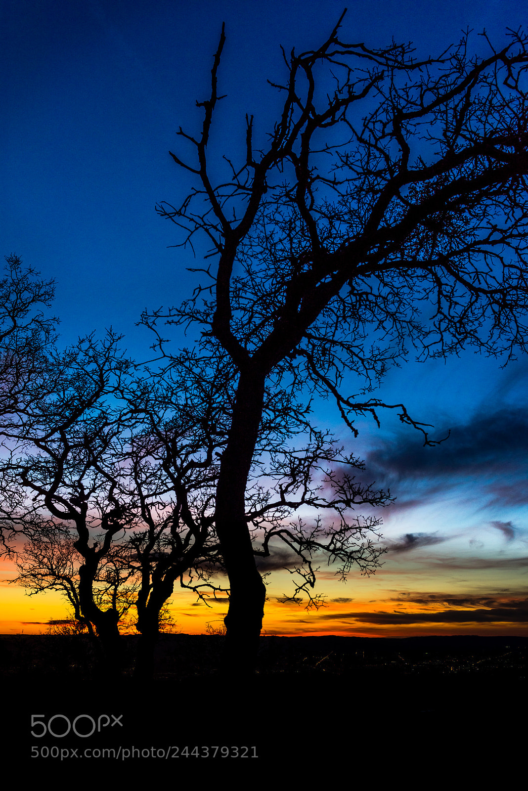 Nikon D810 sample photo. Arv photography