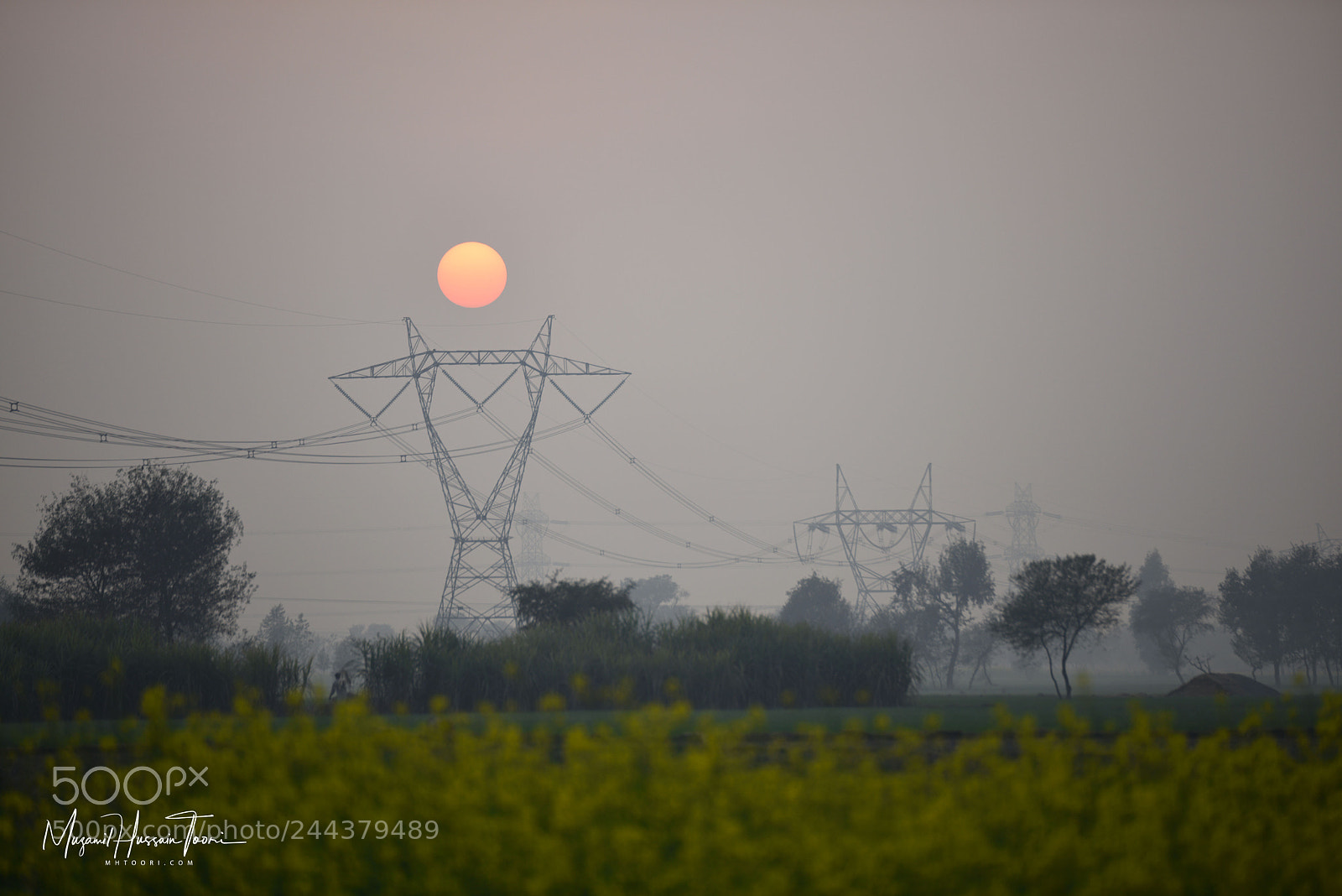 Nikon D810 sample photo. Sunset photography
