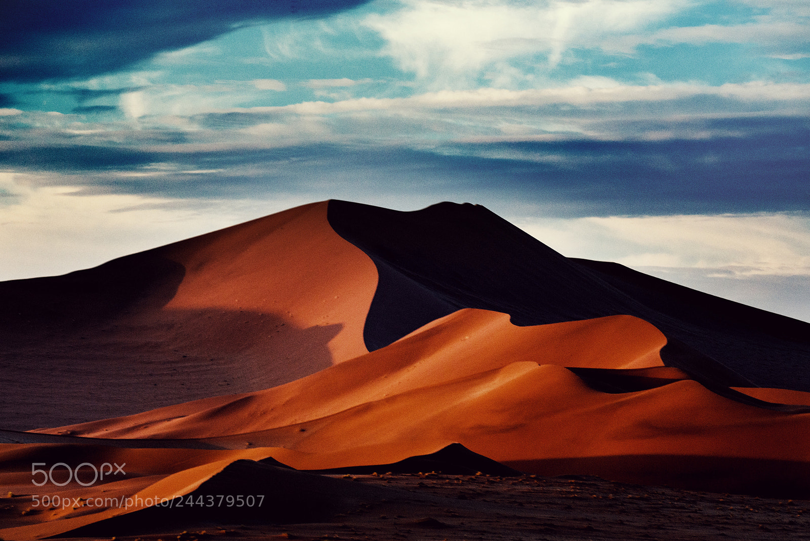 Nikon D800E sample photo. Namib photography