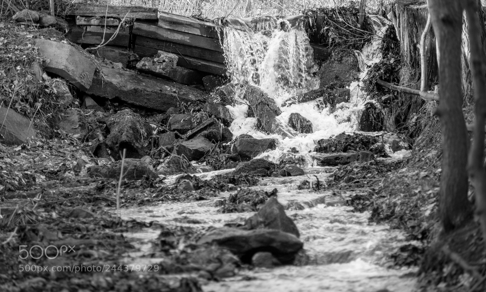 Nikon D600 sample photo. Small waterfall photography