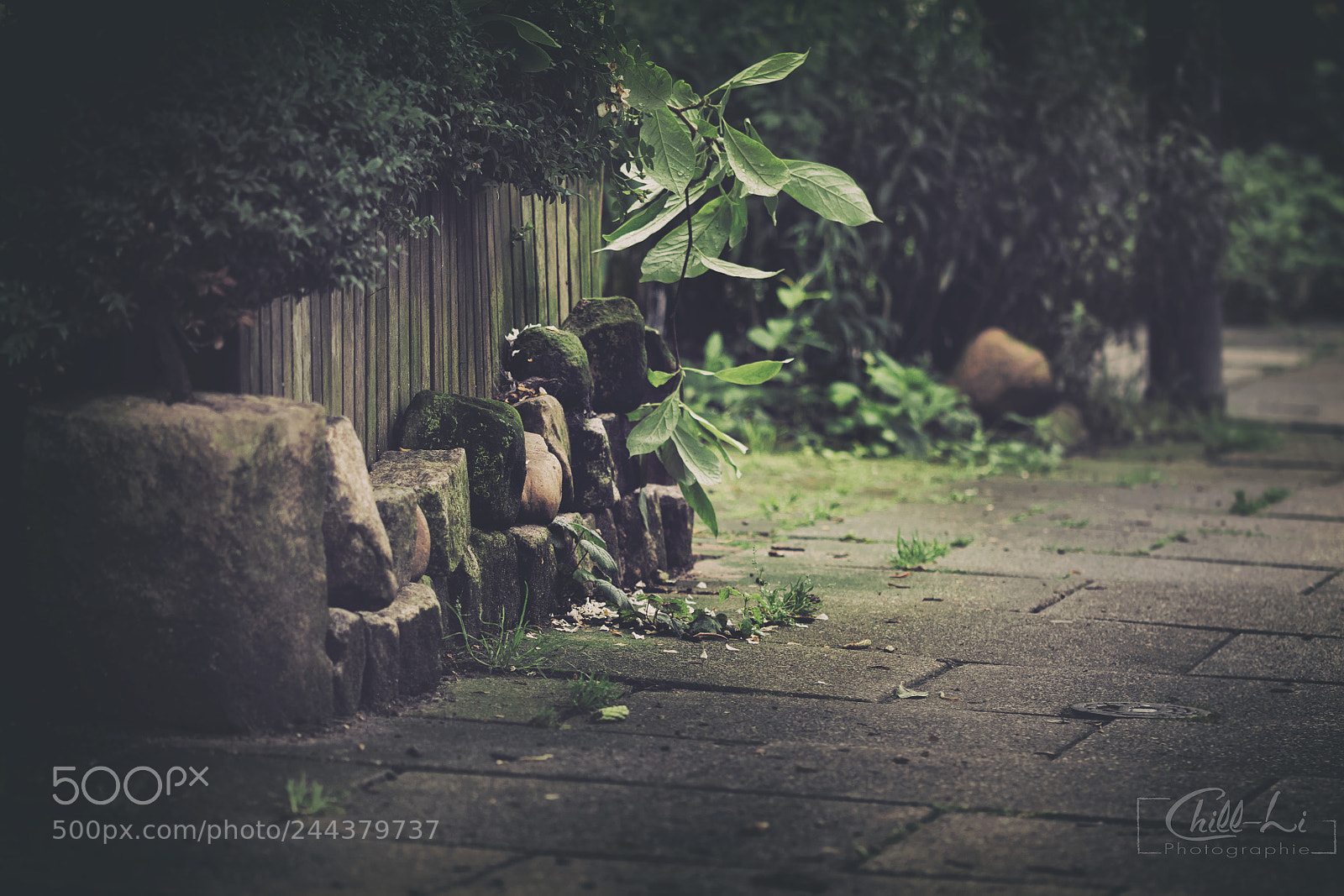 Nikon D7100 sample photo. Street of bremen photography