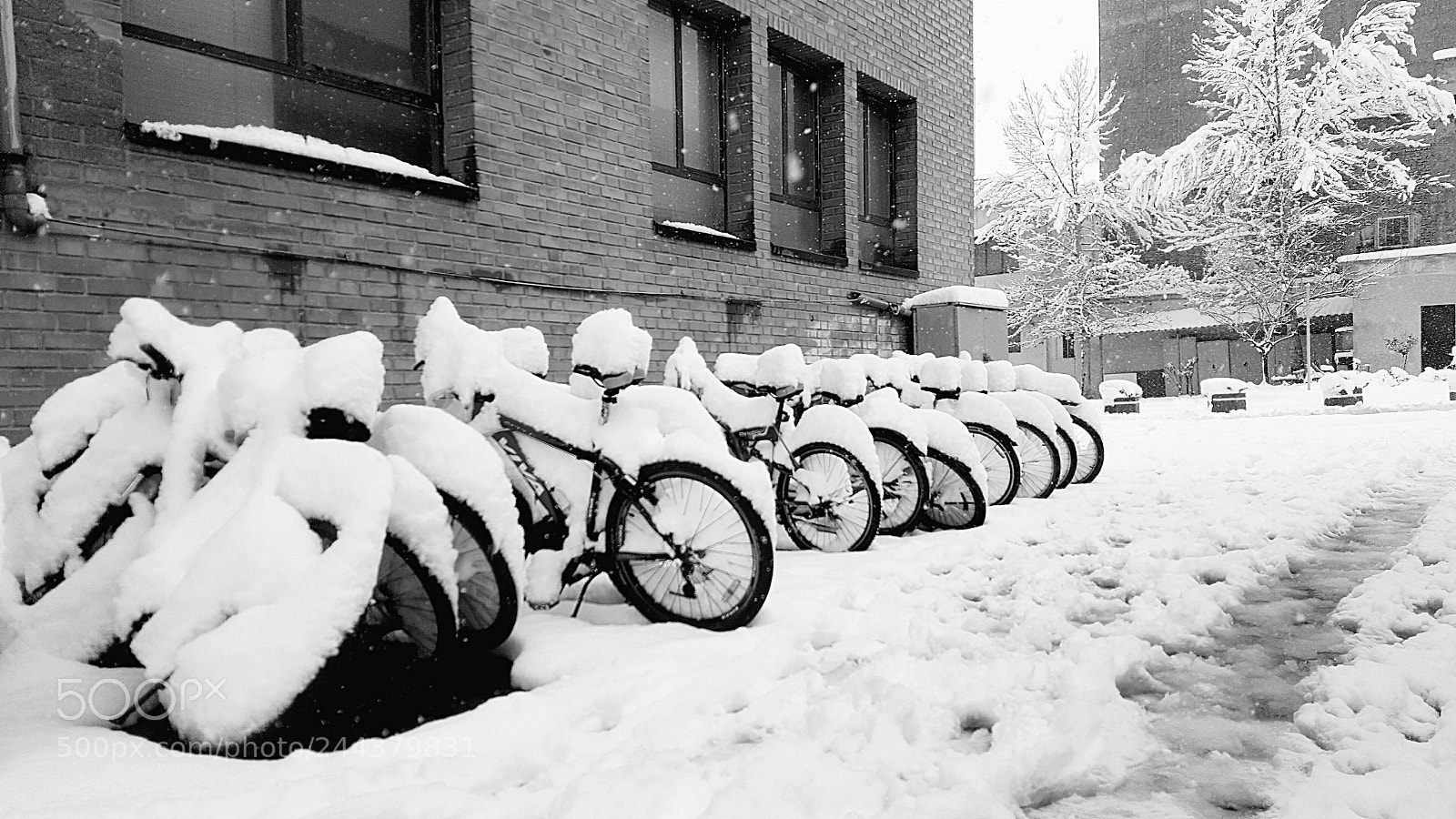 Samsung Galaxy Note5 sample photo. Bicycles photography