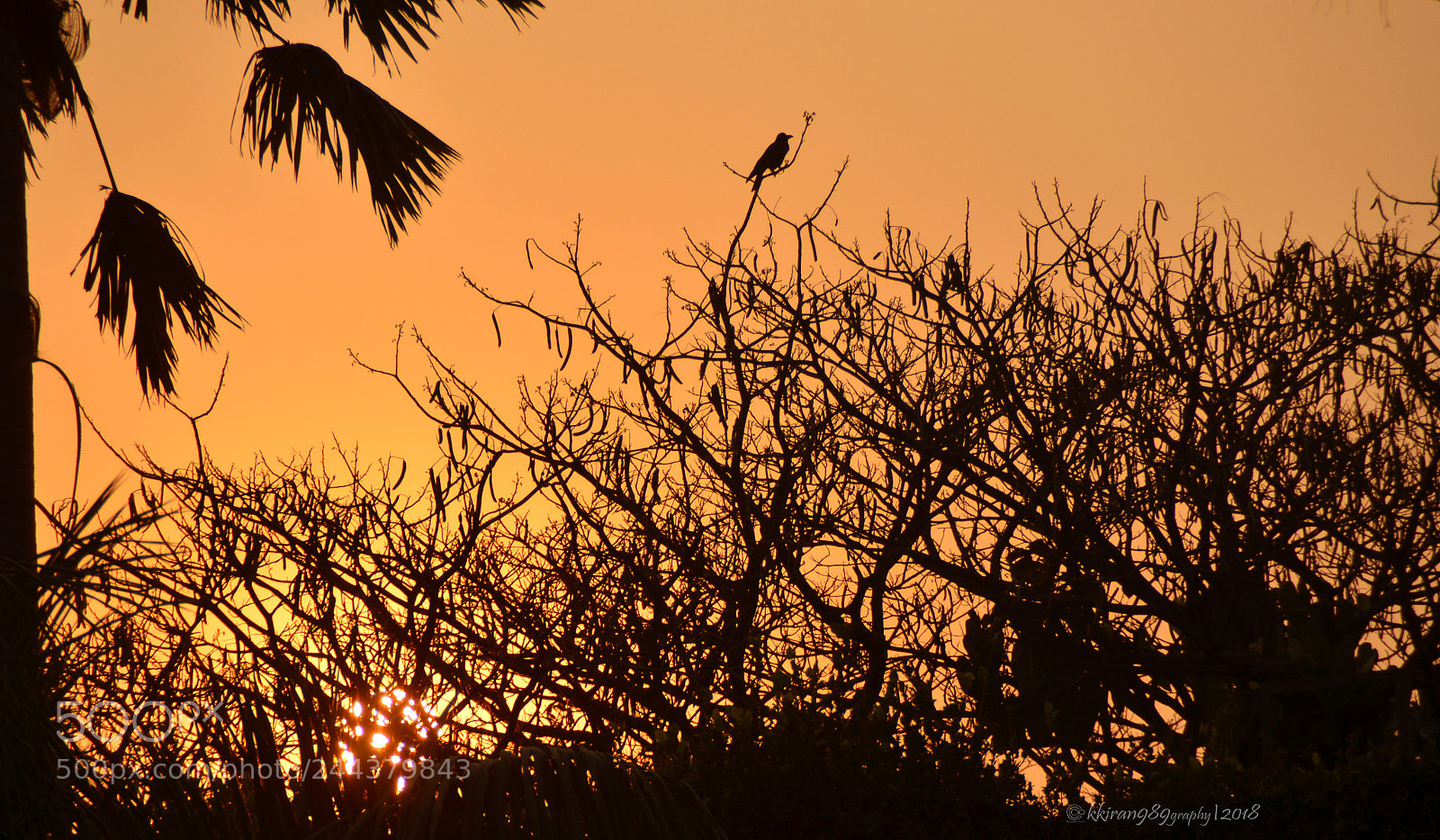Nikon D5100 sample photo. Just stay still in photography
