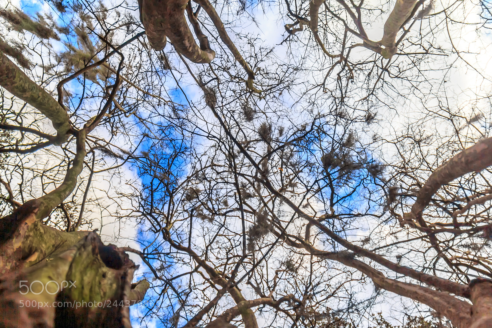 Canon EOS 60D sample photo. Ground-up photography