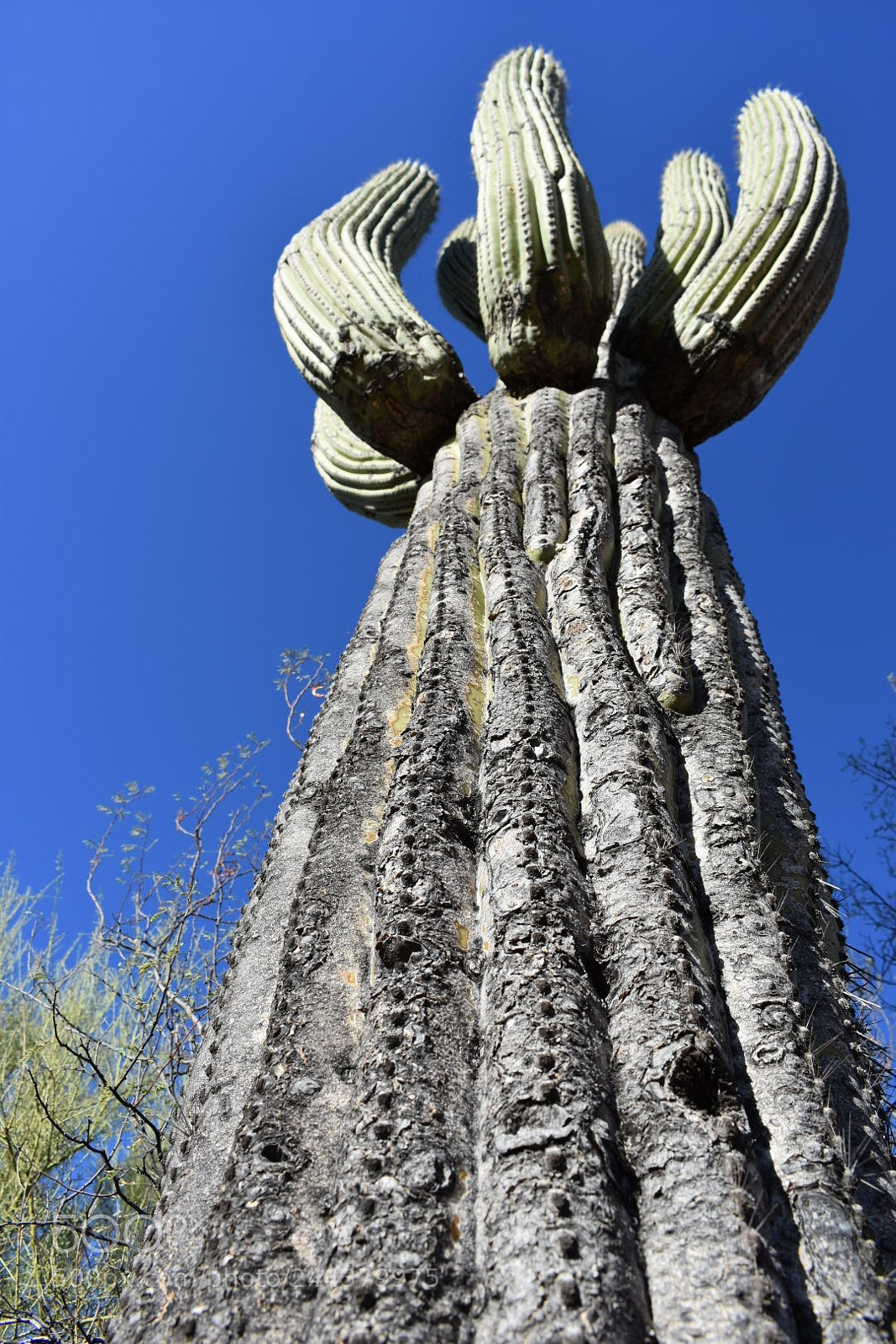 Nikon D3400 sample photo. Inch by inch, lost photography
