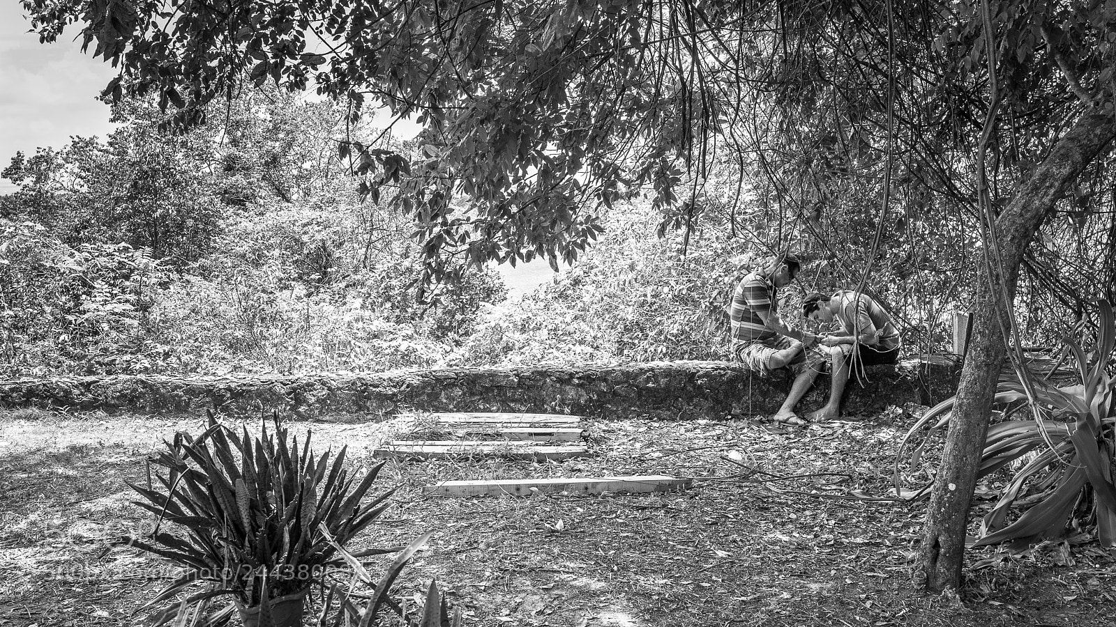 Nikon D610 sample photo. Aid photography