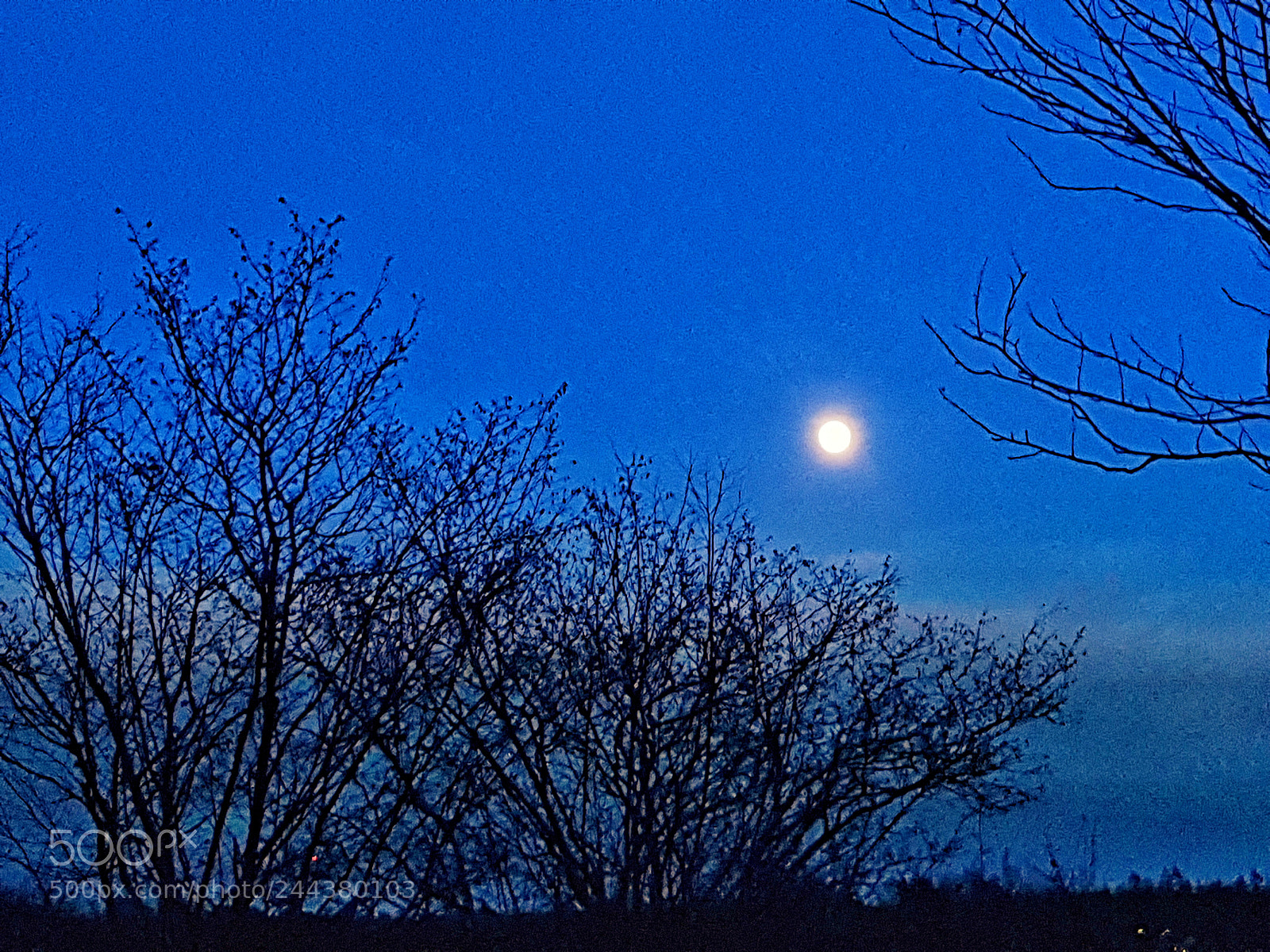 Samsung Galaxy S8 sample photo. Moon photography