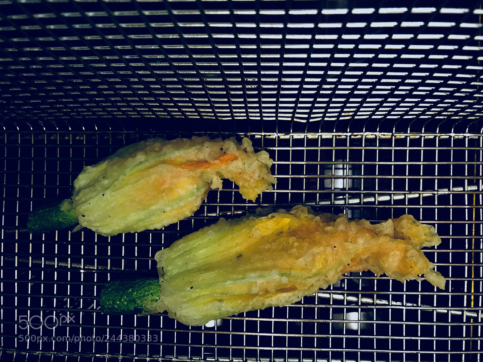 Apple iPhone 7 sample photo. Zucchini flower photography