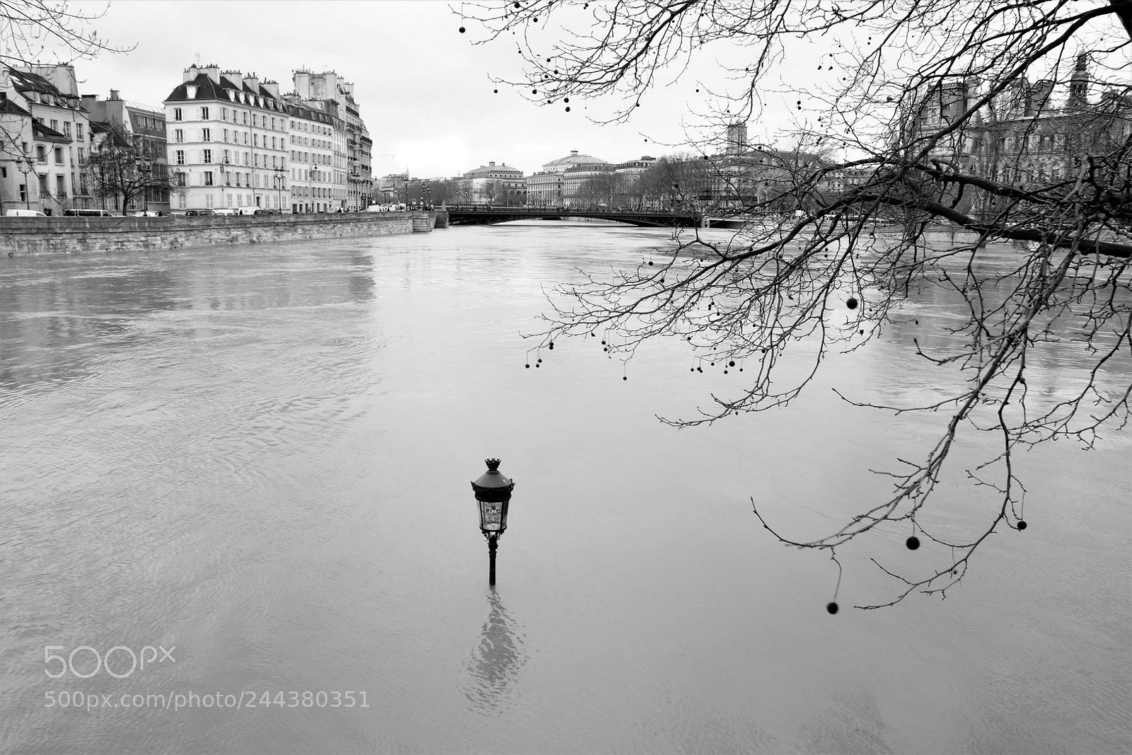 Nikon D7100 sample photo. The river in paris photography