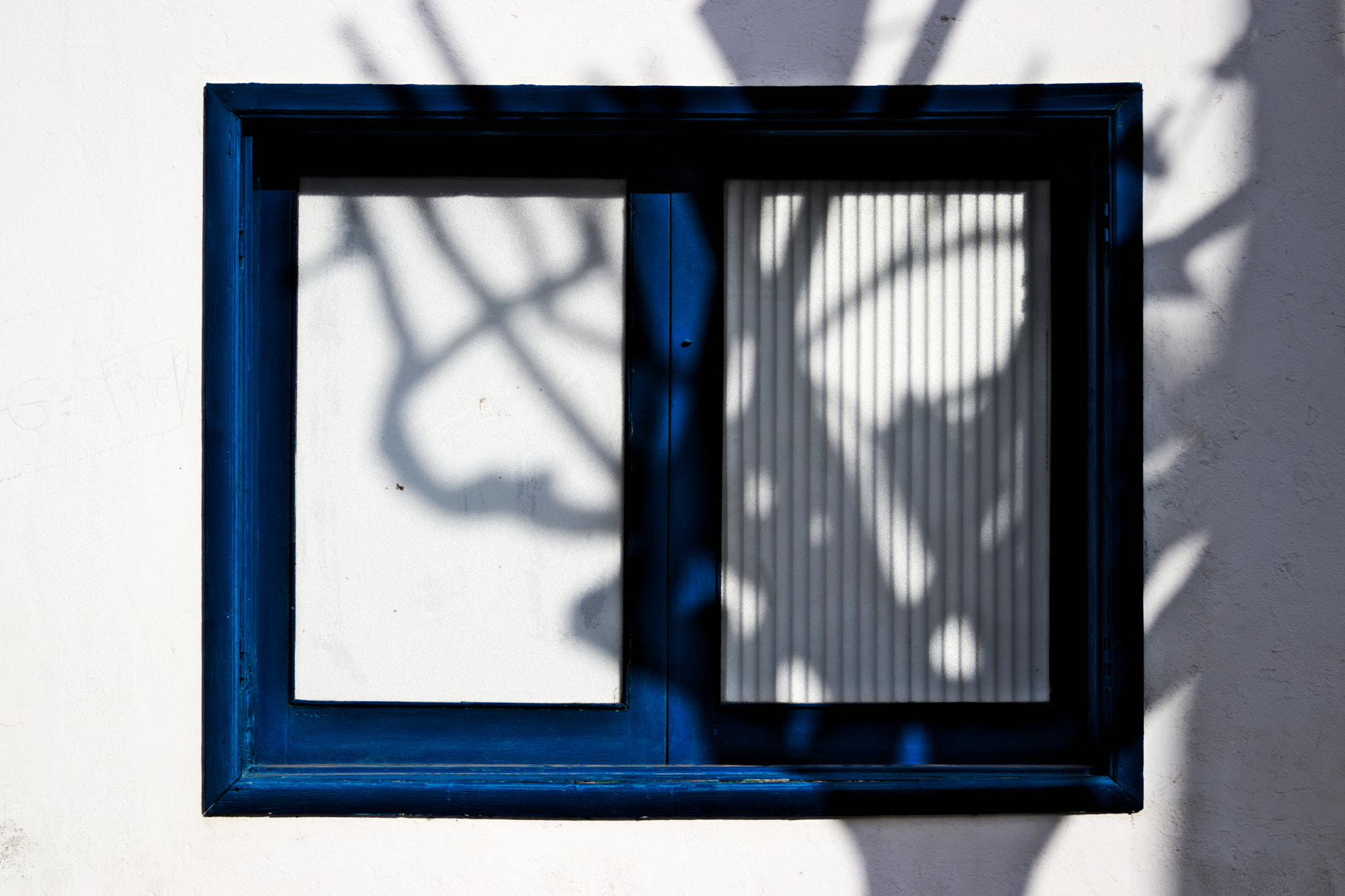 Canon EF 28-135mm F3.5-5.6 IS USM sample photo. Is coming photography