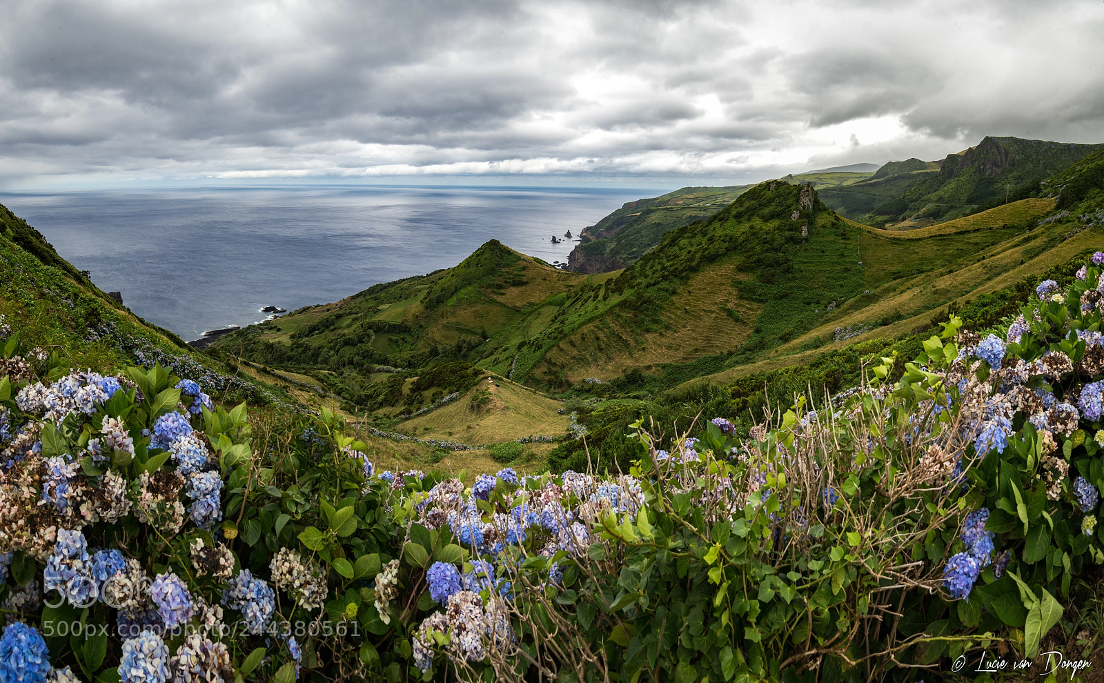 Nikon D610 sample photo. Flores photography