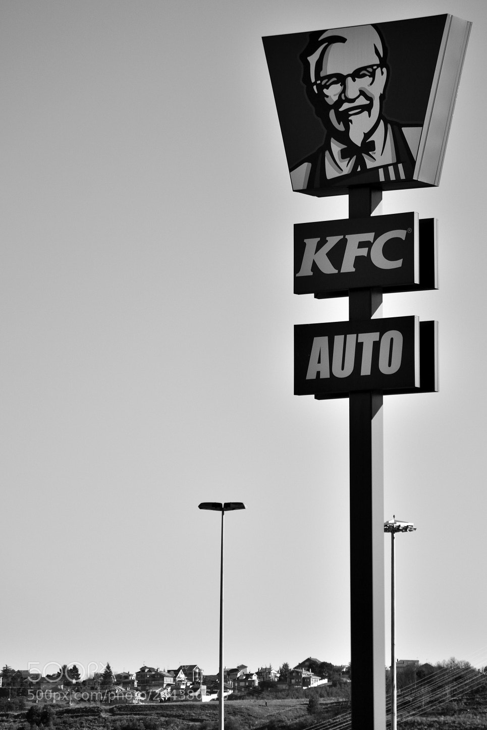 Nikon D3100 sample photo. Untitled photography