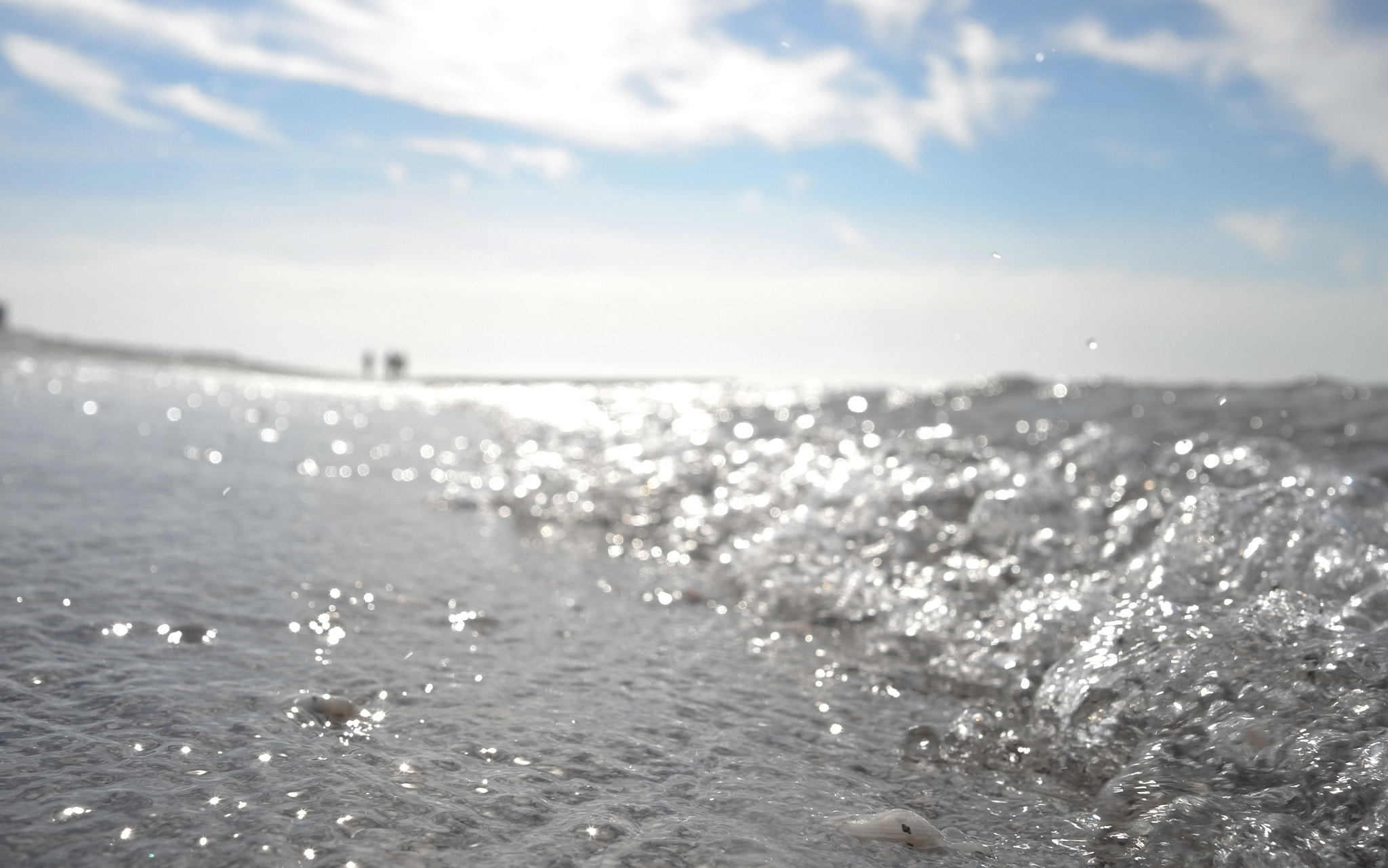 Leica X-U (Typ 113) sample photo. Longboat key photography