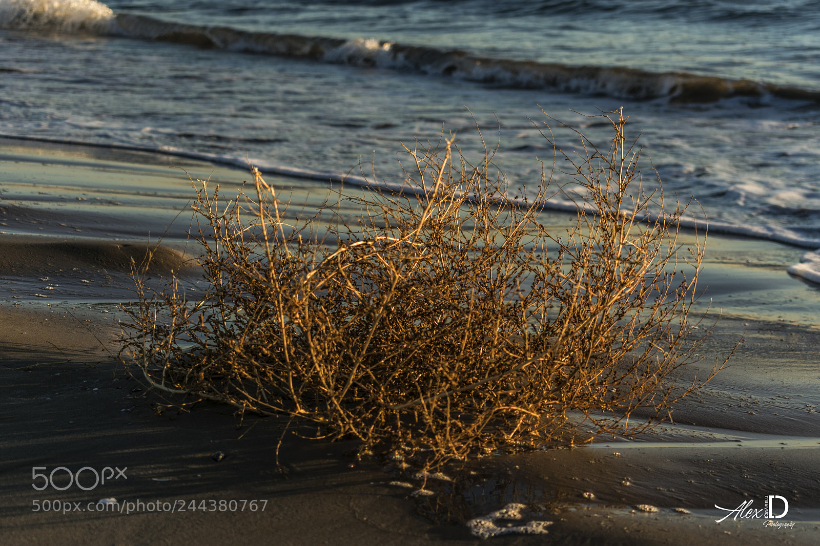 Nikon D3400 sample photo. Beach photography