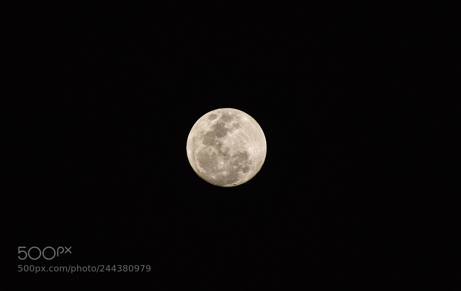 Nikon D3400 sample photo. Night alone ? photography