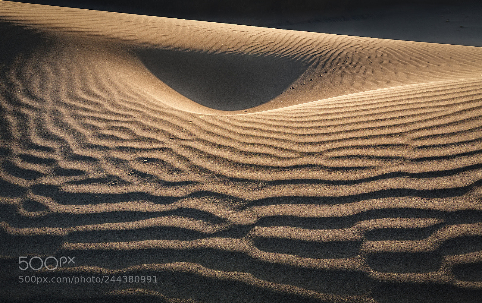 Canon EOS 5D sample photo. Sunrise on dune photography